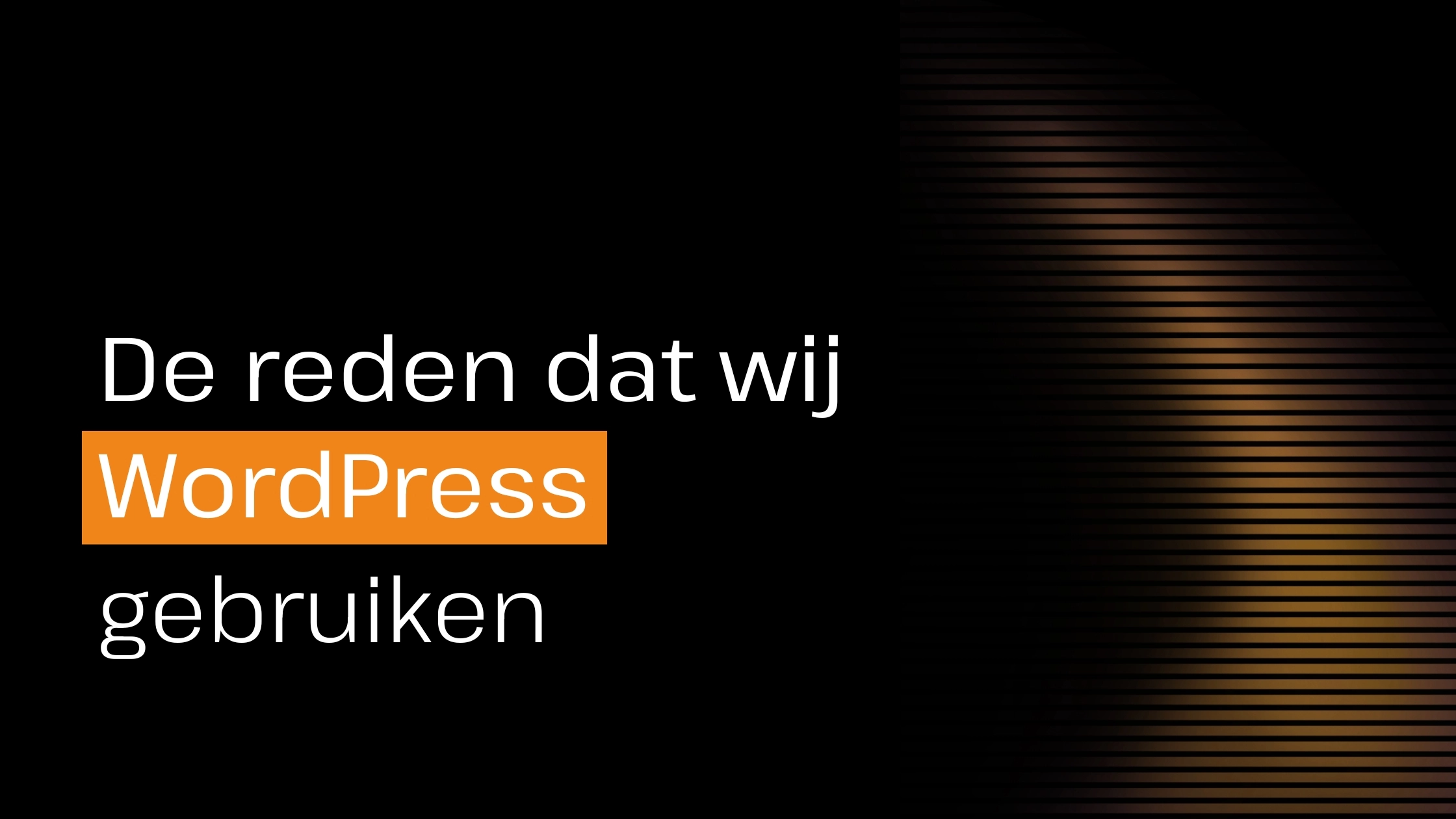 De reden dat wij WordPress gebruiken