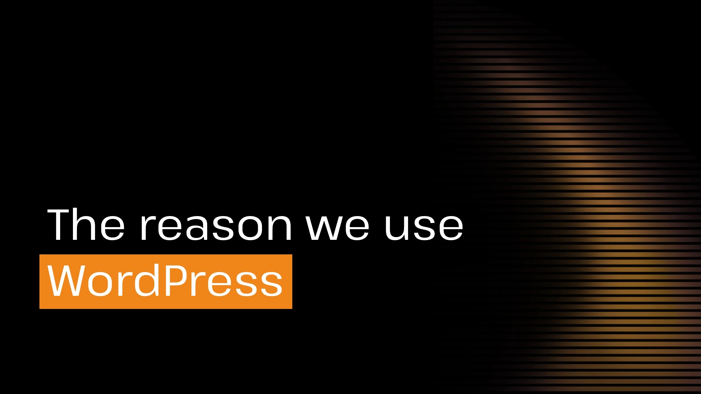 The reason we use WordPress The reason we use WordPress